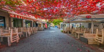 «Φθινοπωρινή Κοζάνη»- Η νέα viral φωτογραφία του Αργύρη Καραμούζα