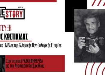 Ο φωτογράφος Γ. Κωστικίδης με αφορμή τη σημερινή Παγκόσμια Ημέρα των Ζώων και την αρμονική συνύπαρξη με τους ανθρώπους