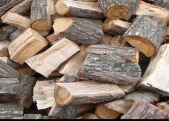 Εορδαία: Καυσόξυλα σε οικονομικά αδύναμους δημότες