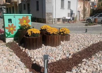 Νέα ανθοφόρα φυτά ομορφαίνουν γειτονιές της Φλώρινας