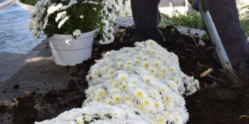 Κοζάνη: Πανέμορφα λουλούδια φυτεύτηκαν στην πλατεία Νίκης