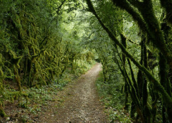 1.4 εκ. ευρώ για περιηγητικές και ποδηλατικές διαδρομές σε Νυμφαίο και Αετό Φλώρινας – Εγκρίθηκαν 67 προτάσεις πανελλαδικά