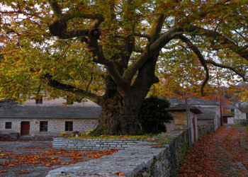 Εκδρομή με την Ο.Λ.Ε στο Φθινοπωρινό Ζαγόρι την Κυριακή 20/10