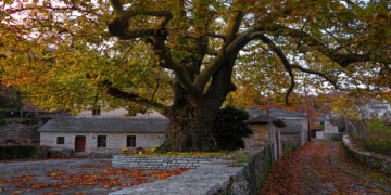 Εκδρομή με την Ο.Λ.Ε στο Φθινοπωρινό Ζαγόρι την Κυριακή 20/10