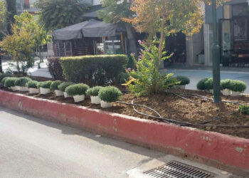 Πτολεμαΐδα: Λουλούδια στα παρτέρια ξεκίνησε να φυτεύει ο Δήμος Εορδαίας (φωτογραφίες)