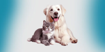 4 Οκτωβρίου 2024, Παγκόσμια Ημέρα των Ζώων! (της Κούλας Πουλασιχίδου)