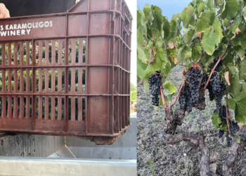 BREAKING NEWS: Το Οινοποιείο Αρτέμης Καραμολέγκος αναπτύσσεται και στο Αμύνταιο