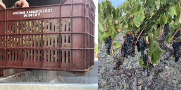 BREAKING NEWS: Το Οινοποιείο Αρτέμης Καραμολέγκος αναπτύσσεται και στο Αμύνταιο