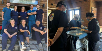 Καστοριά: Έγινε στείρωση 100 αδέσποτων γατών