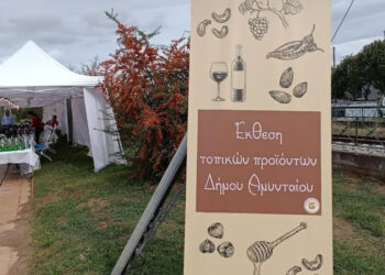Ξεκίνησε η έκθεση τοπικών προϊόντων στην εμποροπανήγυρη Αμυνταίου (φωτογραφίες)