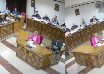 Αλεξάνδρα Τσιτσιντά στο Δ.Σ. Εορδαίας: «Η τιμή της Τ/Θ πρέπει να μείνει όσο το δυνατό χαμηλότερη»