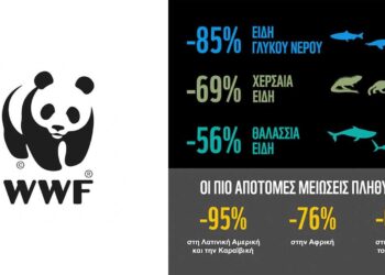 Δραματική μείωση 73% των πληθυσμών άγριας ζωής σε μόλις 50 χρόνια – Έκθεση του WWF
