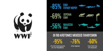 Δραματική μείωση 73% των πληθυσμών άγριας ζωής σε μόλις 50 χρόνια – Έκθεση του WWF
