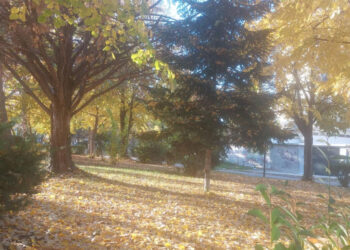 Όταν η φύση “ζωγραφίζει” με χρώματα της ΦΘΙΝΟΠΩΡΙΝΗΣ παλέτας ! (της Κούλας Πουλασιχίδου)