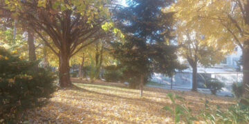 Όταν η φύση “ζωγραφίζει” με χρώματα της ΦΘΙΝΟΠΩΡΙΝΗΣ παλέτας ! (της Κούλας Πουλασιχίδου)