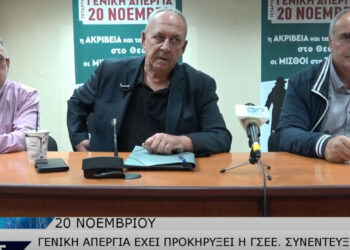 Γενική Απεργία στις 20 Νοεμβρίου: Το Εργατικό Κέντρο Κοζάνης καλεί σε κινητοποίηση (Βίντεο από Top Channel)