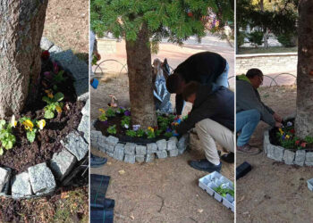 Η Φλώρινα ομορφαίνει με τη συμβολή των νέων: Εθελοντική φύτευση σε πεζόδρομο και κεντρική πλατεία (Πολλές φωτογραφίες)