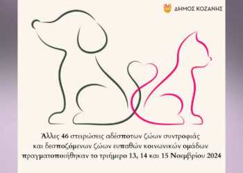 Δήμος Κοζάνης: Ακόμα 46 στειρώσεις αδέσποτων και δεσποζόμενων ζώων