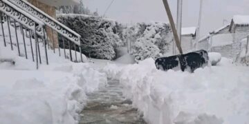 Καλημέρα από τη Βλάστη στα λευκά!