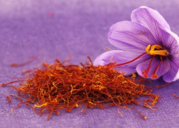 Κρόκος Κοζάνης: Καθηλωμένη η φετινή παραγωγή