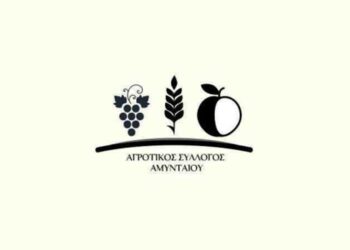 Αγροτικός Σύλλογος Αμυνταίου στην αυριανή απεργία: “Απαιτούμε την αντικειμενική και σωστή λειτουργία του ΟΠΕΚΕΠΕ και όρους στήριξης για τα συνεργατικά σχήματα”