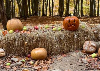 Γεύμα με θέμα… Halloween για τις αρκούδες στον “ΑΡΚΤΟΥΡΟ”