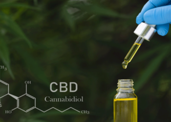 How to Identify High-Quality CBD Oil: A Beginner’s Guide
