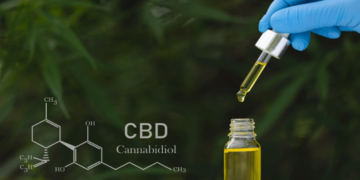 How to Identify High-Quality CBD Oil: A Beginner’s Guide