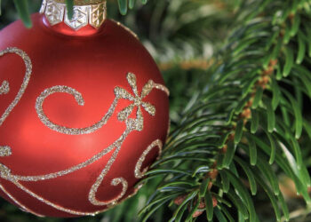 Χριστουγεννιάτικη γιορτή στην Πτολεμαΐδα από τον Σύλλογο Γονέων, Κηδεμόνων και Φίλων ΑμεΑ