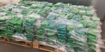 Αλγόριθμος, ακτίνες Χ και σκύλος ανιχνευτής «έπιασαν» κοκαΐνη 2,3 εκατ. ευρώ σε κοντέινερ με μπανάνες