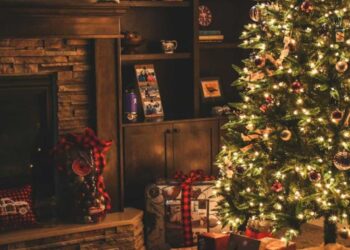 Σύνδρομο χριστουγεννιάτικου δέντρου: Η άγνωστη αλλεργία που καραδοκεί στις γιορτές