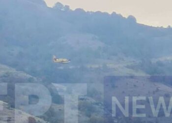 Πυρκαγιά σε δασική έκταση στην Κλεισούρα Καστοριάς