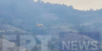 Πυρκαγιά σε δασική έκταση στην Κλεισούρα Καστοριάς