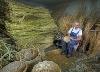 «Είκοσι χρόνια καλαθοπλέκτης» – Η άγνωστη παράδοση στο Βαρικό