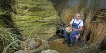 «Είκοσι χρόνια καλαθοπλέκτης» – Η άγνωστη παράδοση στο Βαρικό