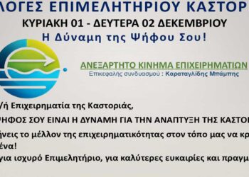 Επιμελητήριο Καστοριάς: Οι υποψήφιοι του συνδυασμού “Ανεξάρτητο Κίνημα Επιχειρηματιών” με επικεφαλής τον Μπάμπη Καραταγλίδη