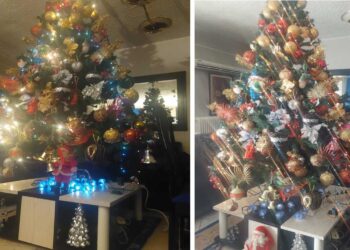 Στολίσαμε και φέτος ! (της Κούλας Πουλασιχίδου)