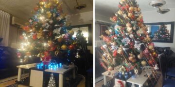 Στολίσαμε και φέτος ! (της Κούλας Πουλασιχίδου)