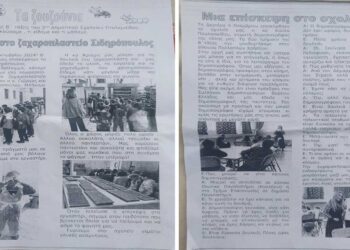 “Τα ζουζούνια” είναι ο τίτλος της Σχολικής Εφημερίδας, που εξέδωσε η β’ Τάξη του 3ου Δημοτικού Σχολείου Πτολεμαΐδας! (της Κούλας Πουλασιχίδου)