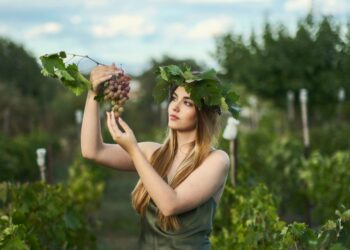 Ο οινοτουρισμός στη Δυτική Μακεδονία έχει χαρακτήρα και θέση στον παγκόσμιο οινικό Χάρτη