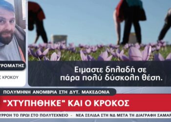 Η πολύμηνη ανομβρία έπληξε τον κρόκο Κοζάνης (video)