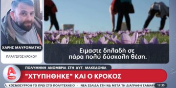 Η πολύμηνη ανομβρία έπληξε τον κρόκο Κοζάνης (video)