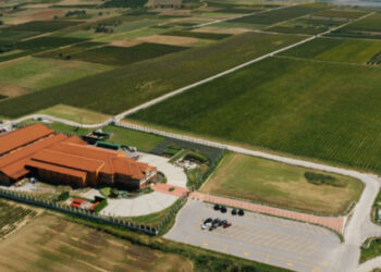 Κτήμα Άλφα: Σε ποιες αγορές σχεδιάζει επέκταση την επόμενη τριετία – Οι προοπτικές του οινικού κλάδου