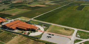 Κτήμα Άλφα: Σε ποιες αγορές σχεδιάζει επέκταση την επόμενη τριετία – Οι προοπτικές του οινικού κλάδου