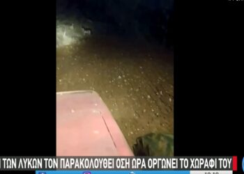 Δροσερό Εορδαίας: Αγέλη λύκων περικύκλωσε αγρότη