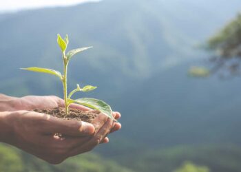Η οικολογική συνείδηση είναι υπόθεση όλων μας