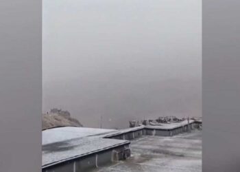 Το έστρωσε στον Παρνασσό – Εικόνες από τα πρώτα χιόνια (Βίντεο)