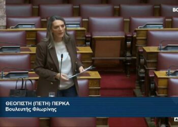 ΝΕΑ ΑΡΙΣΤΕΡΑ – Πέτη Πέρκα: “Απαιτούμε άμεση λύση για τις ενεργειακές κοινότητες που βρίσκονται σε ομηρία”