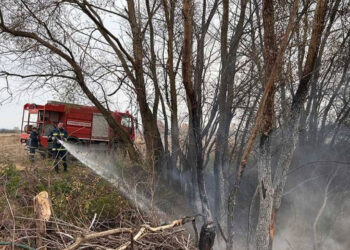 Κατασβέστηκε φωτιά στο Αμμοχώρι Φλώρινας – Έκκληση προς τους πολίτες από την Πολιτική Προστασία