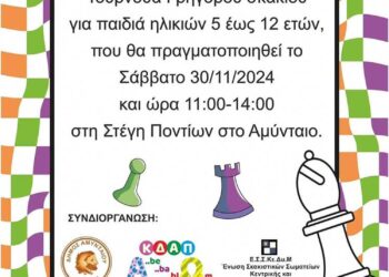 1o  Τουρνουά Γρήγορου Σκακιού στο Αμύνταιο – Ξεκίνησαν οι δηλώσεις συμμετοχής